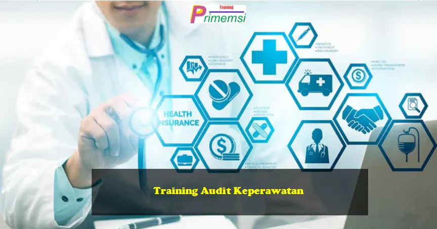 Audit Keperawatan